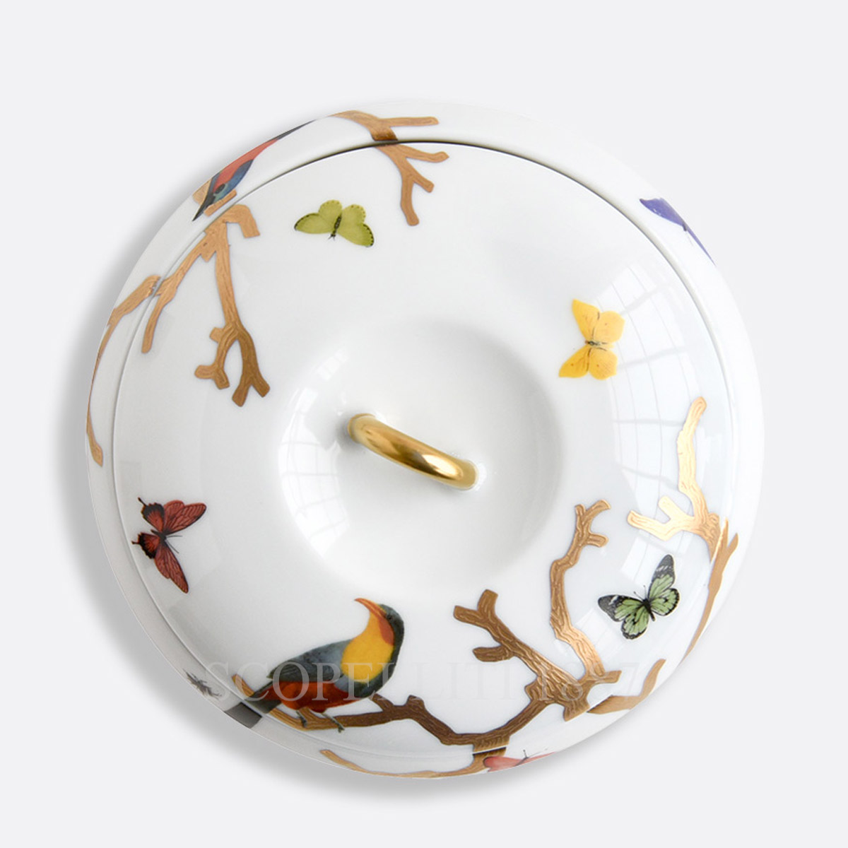 Bernardaud Bernardaud Aux Oiseaux Pebble Box 3