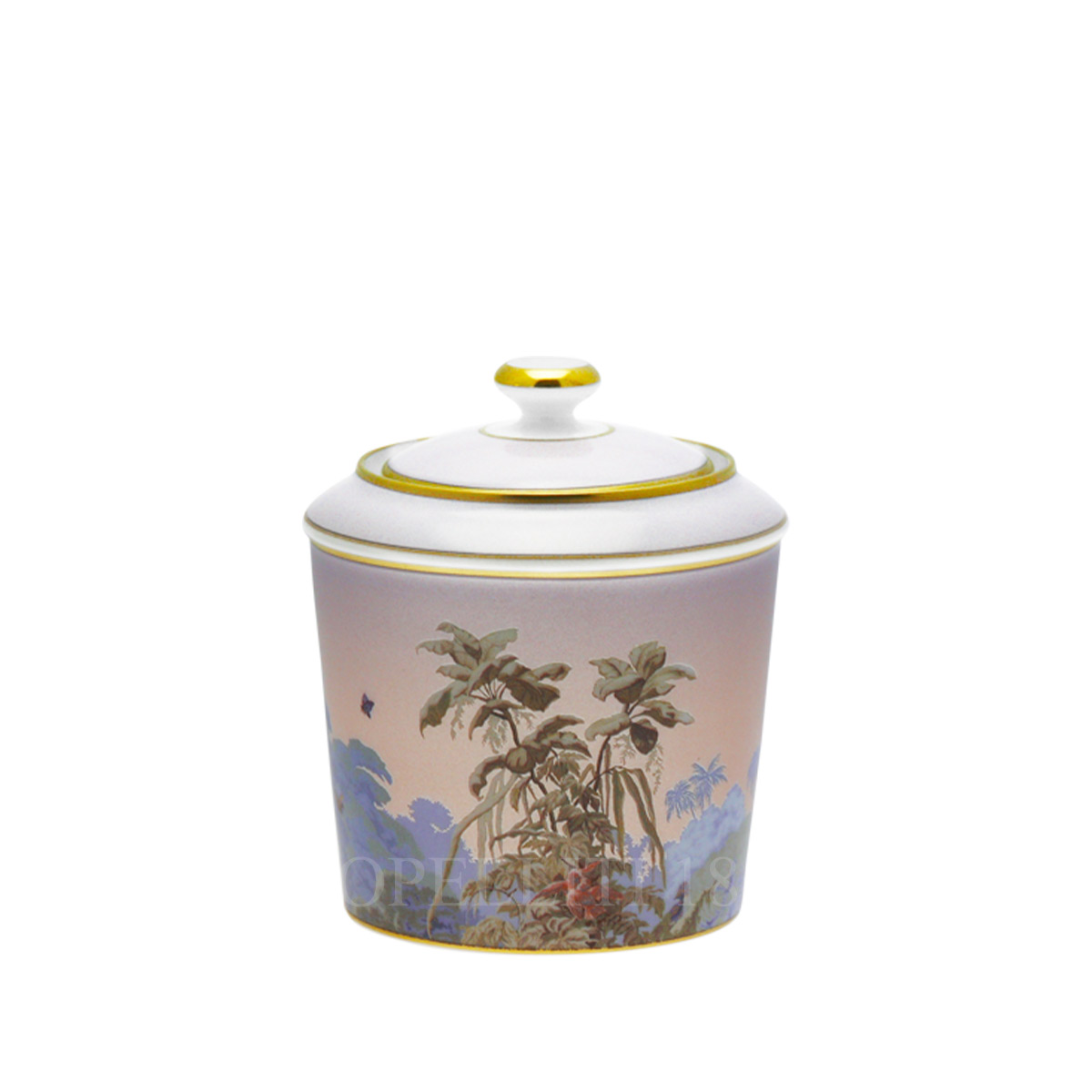 Haviland Haviland Le Brésil Sugar Box 1
