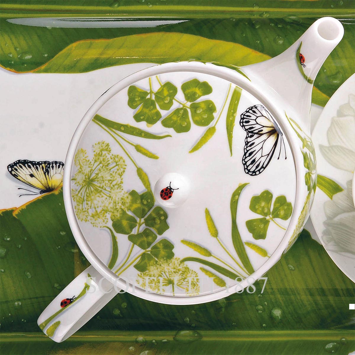 Taitù Milano Taitù Freedom Teapot 2