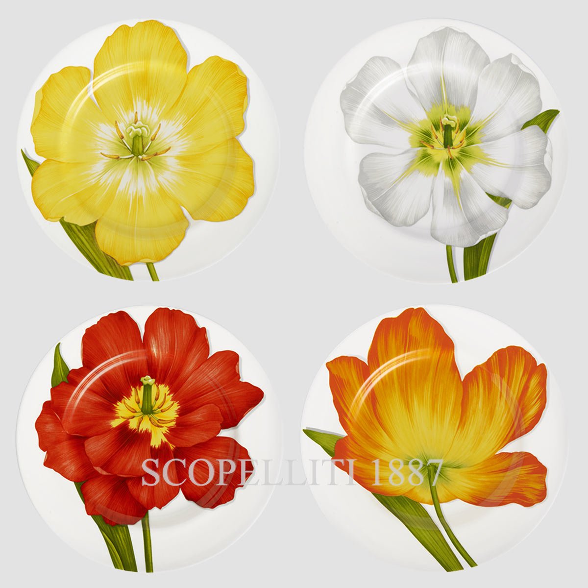 Taitù Milano Taitù Freedom Dinner Plates Set of 4 assorted 1