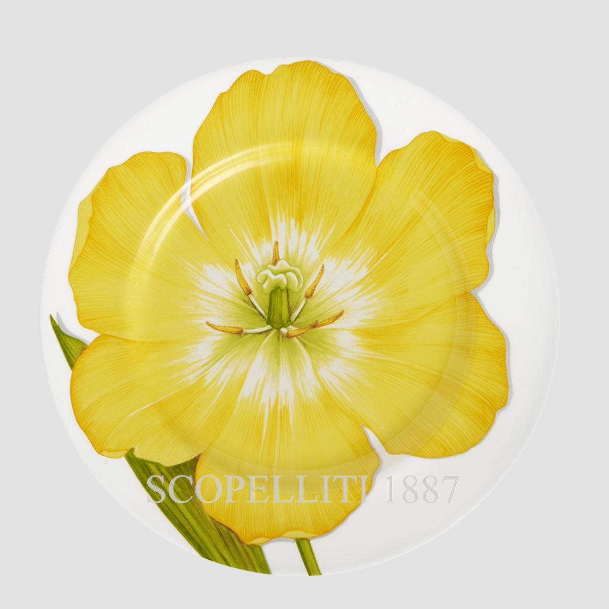 Taitù Milano Taitù Freedom Dinner Plates Set of 4 assorted 2
