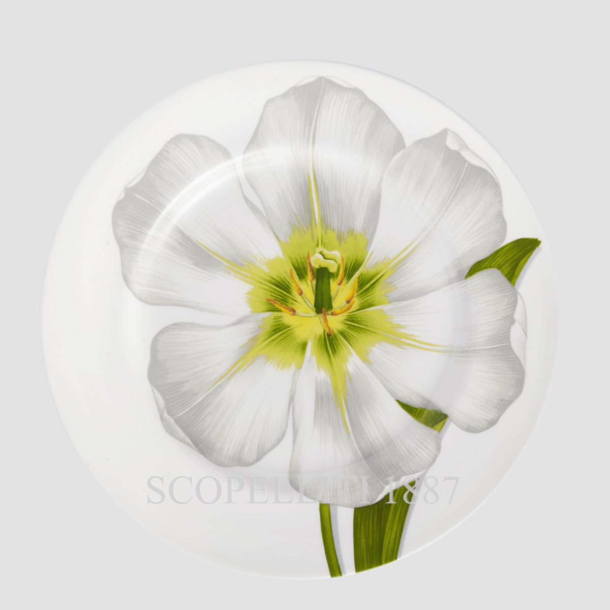 Taitù Milano Taitù Freedom Dinner Plates Set of 4 assorted 3