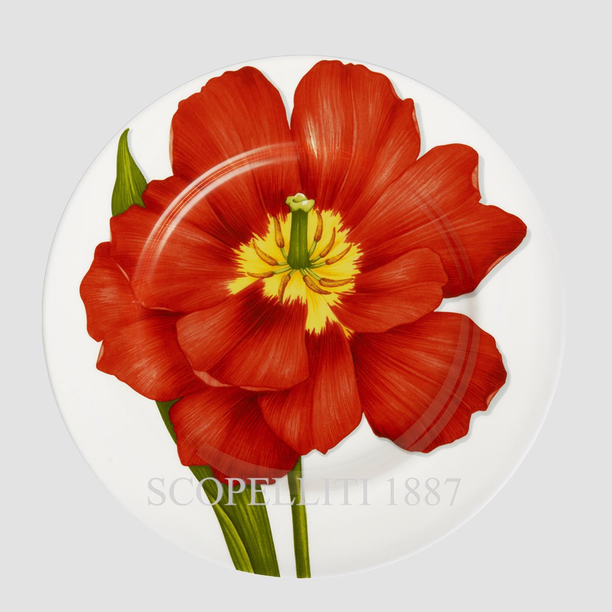 Taitù Milano Taitù Freedom Dinner Plates Set of 4 assorted 4