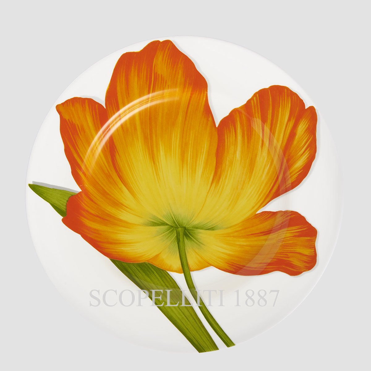 Taitù Milano Taitù Freedom Dinner Plates Set of 4 assorted 5