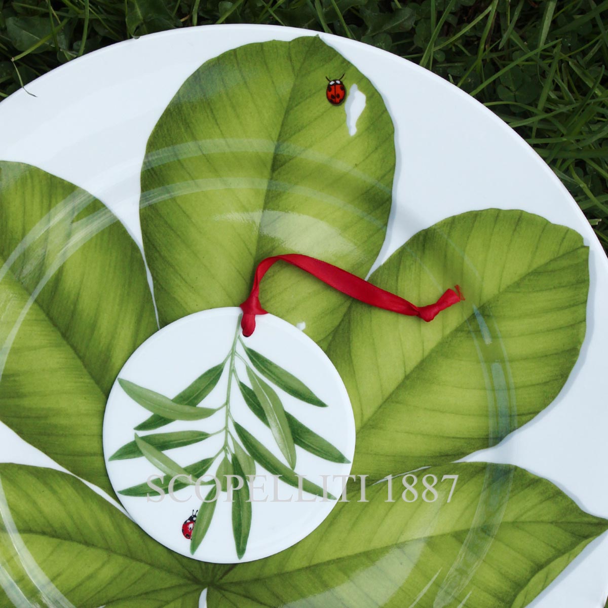 Taitù Milano Taitù Freedom Presentation Plates Set of 4 assorted 5
