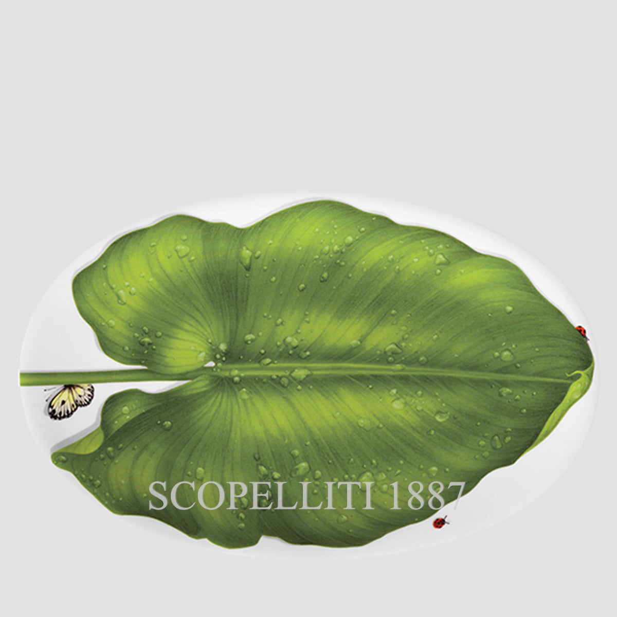 Taitù Milano Taitù Freedom Oval Platter 1