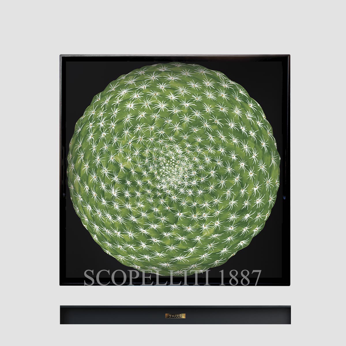 Taitù Milano Taitù Cactus Square Tray 45x45 1