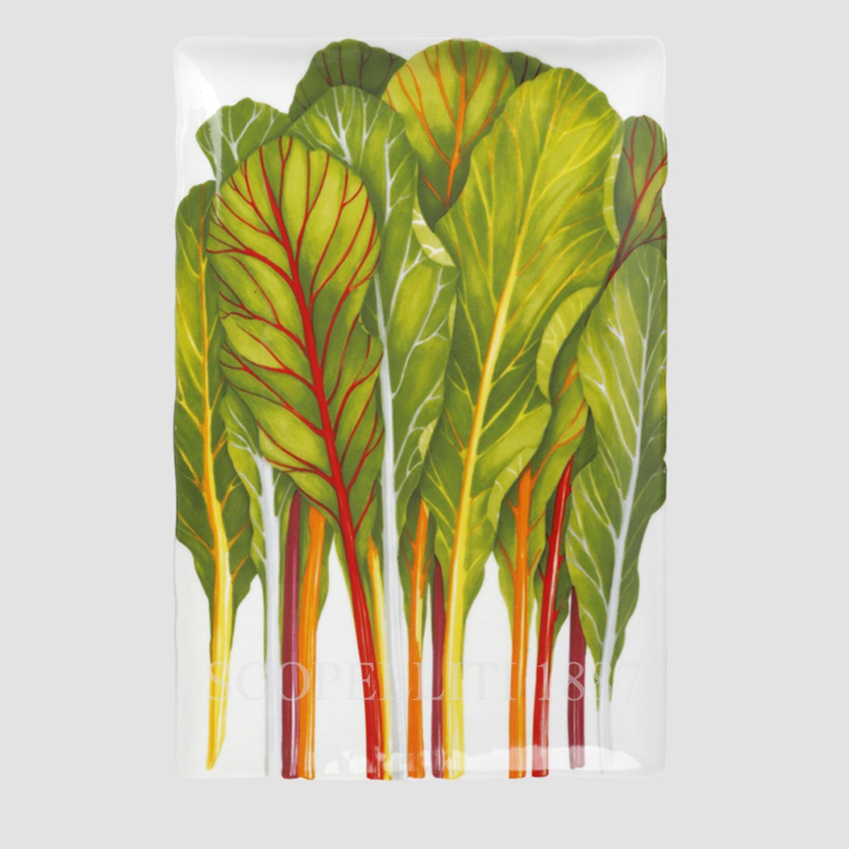 Taitù Milano Taitù Vegetables Rectangular Platter Herbs 33x22 cm 1