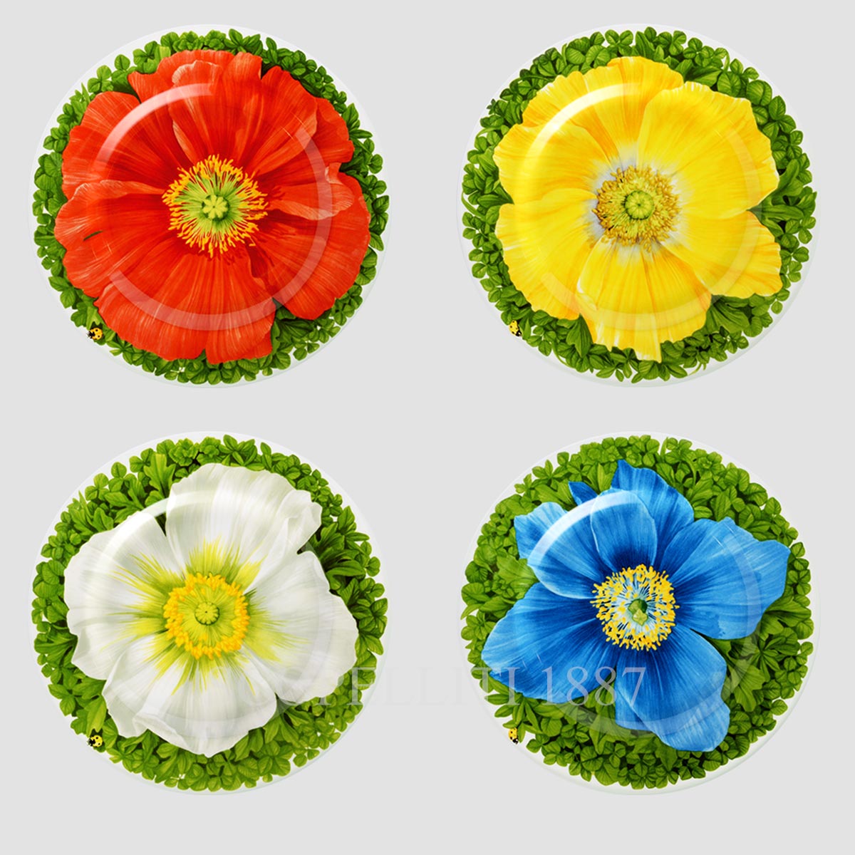 Taitù Milano Taitù Prati Italiani Dessert Plate - Set of 4 1