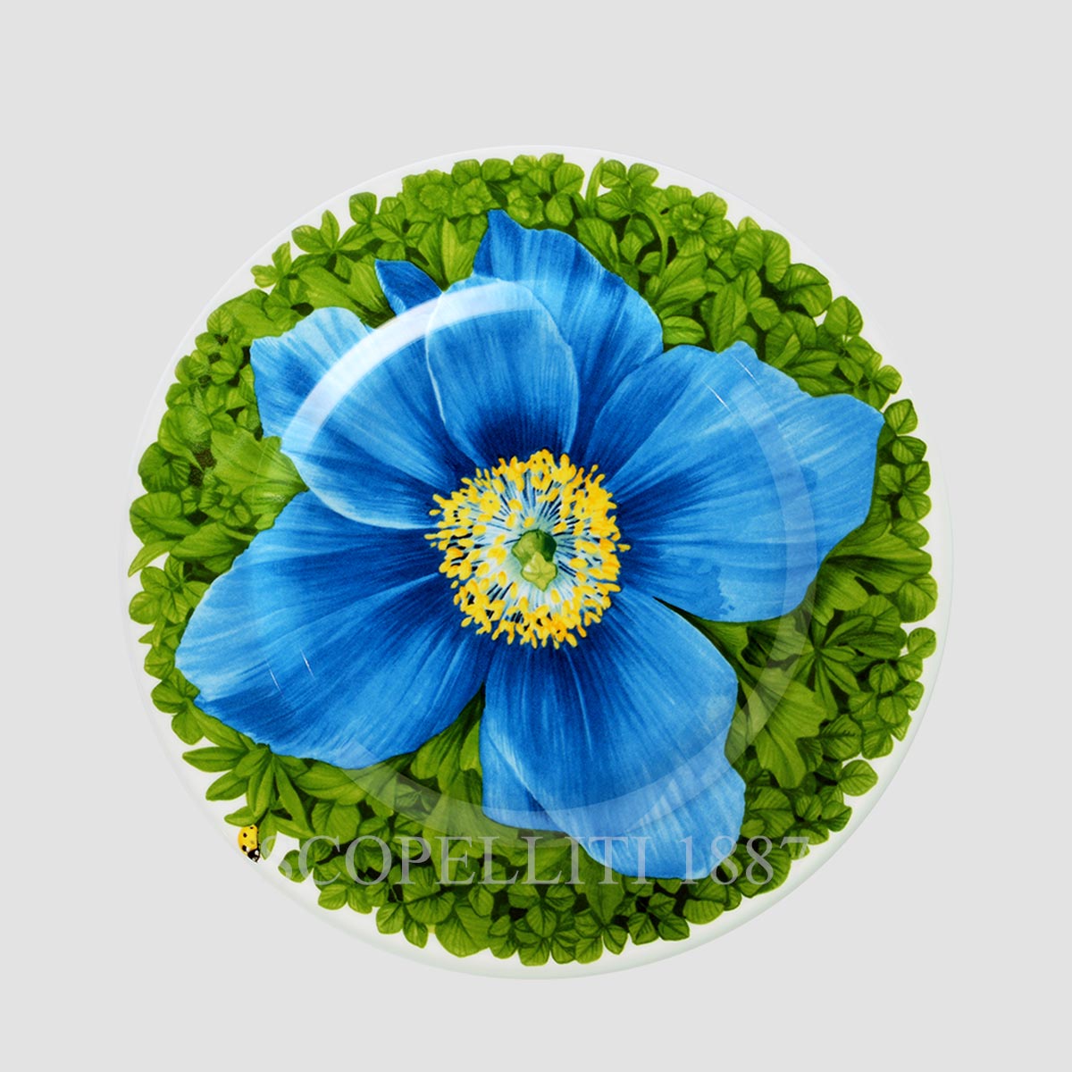 Taitù Milano Taitù Prati Italiani Dessert Plate - Set of 4 5